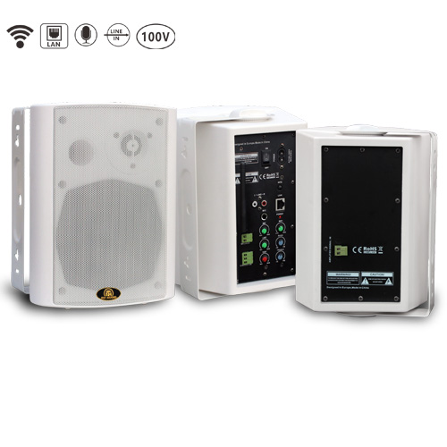 2.0 Altoparlante WiFi con montaggio a parete RH609WF