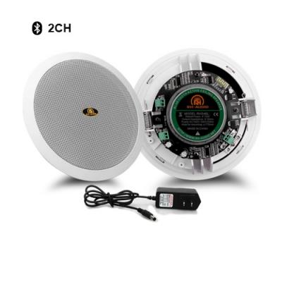 Altoparlante da soffitto amplificato Bluetooth