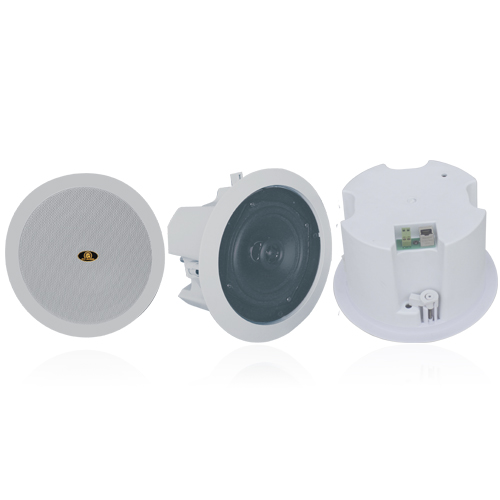 Altoparlante PoE RH603PE per rete IP