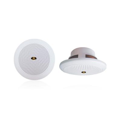 Altoparlante da soffitto marino a bassa impedenza RH-AUDIO